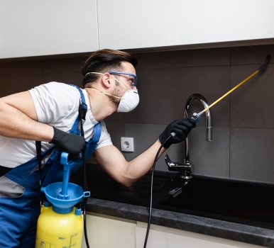 Chris Pest Control Bankstown Milestone